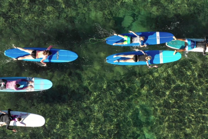 a group of people lying on surfboards in the water